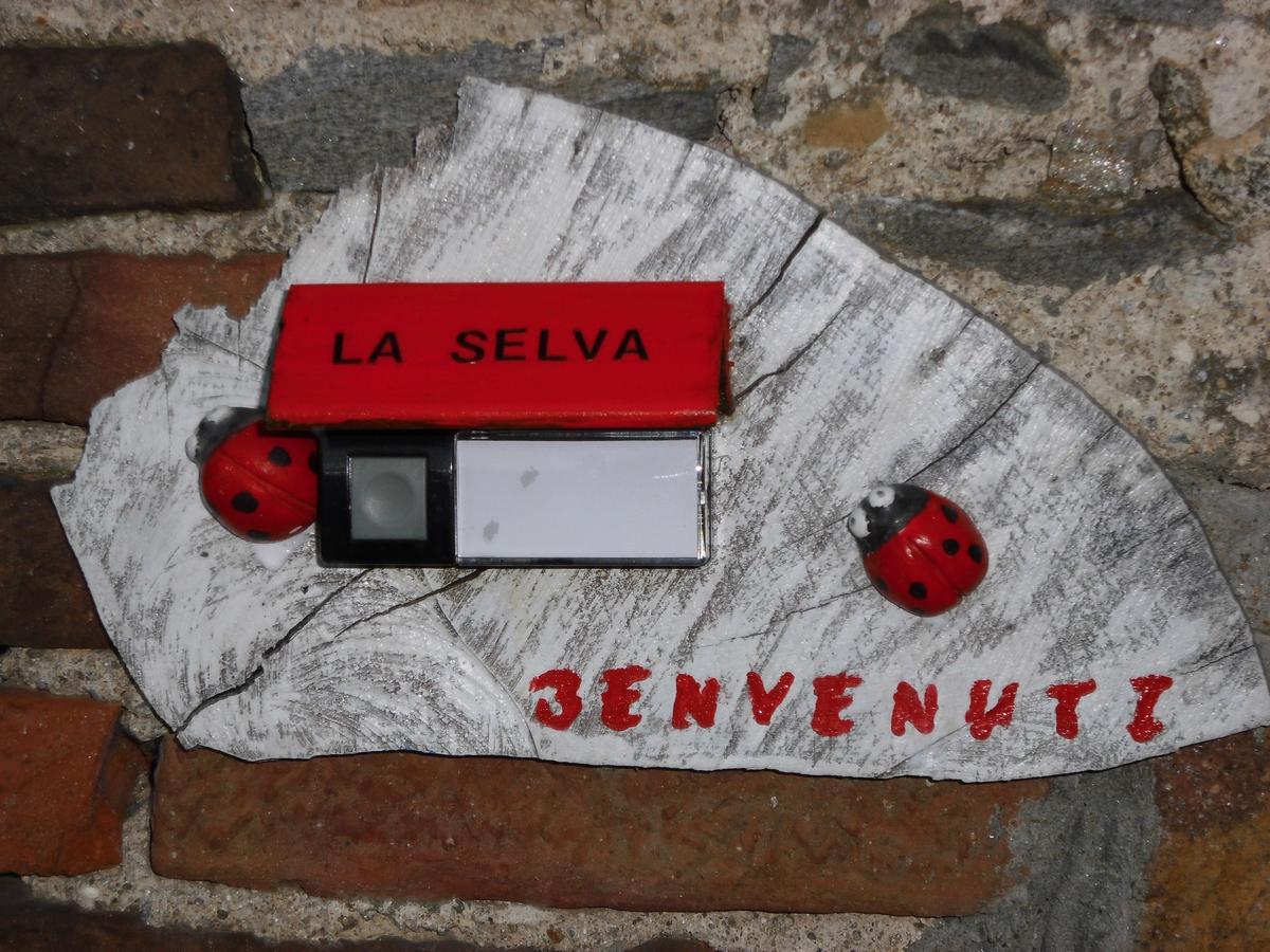 Ferienwohnung Casa La Selva Pura Exterior foto